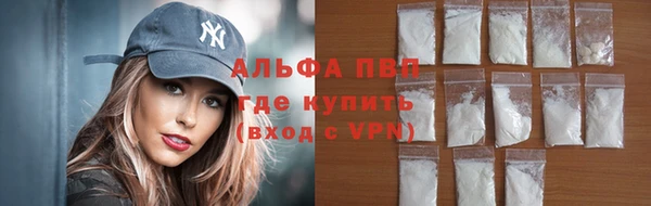 прущие грибы Белоозёрский
