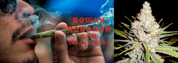 прущие грибы Белоозёрский