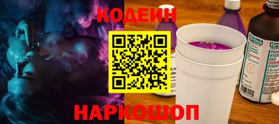 индика Можга