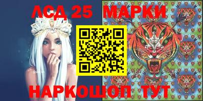 индика Можга