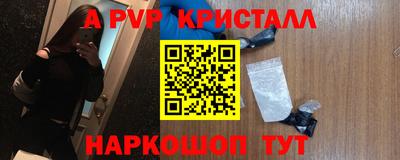 СК Моздок