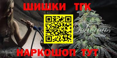 индика Можга