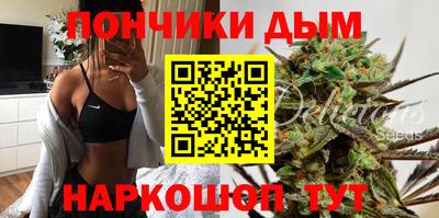 индика Можга