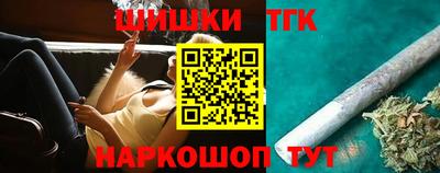 индика Можга