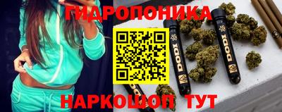 СК Моздок