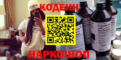 индика Можга