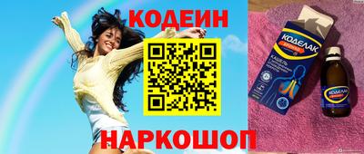 индика Можга