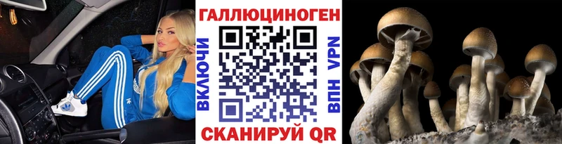 закладка  Воскресенск  Псилоцибиновые грибы GOLDEN TEACHER 