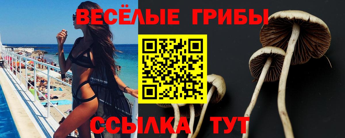 Псилоцибиновые грибы мицелий  Вход с VPN  Воскресенск  Галлюциногенные грибы GOLDEN TEACHER 